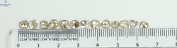 3.00 CT(13 Pcs) Polki Rosecut  Shape Natural Diamond Brown Color I2 Clarity (5.57 MM)
