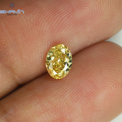 0.51 CT Oval Shape Natural Diamond Orange Yellow Color I1 Clarity (5.64 MM)