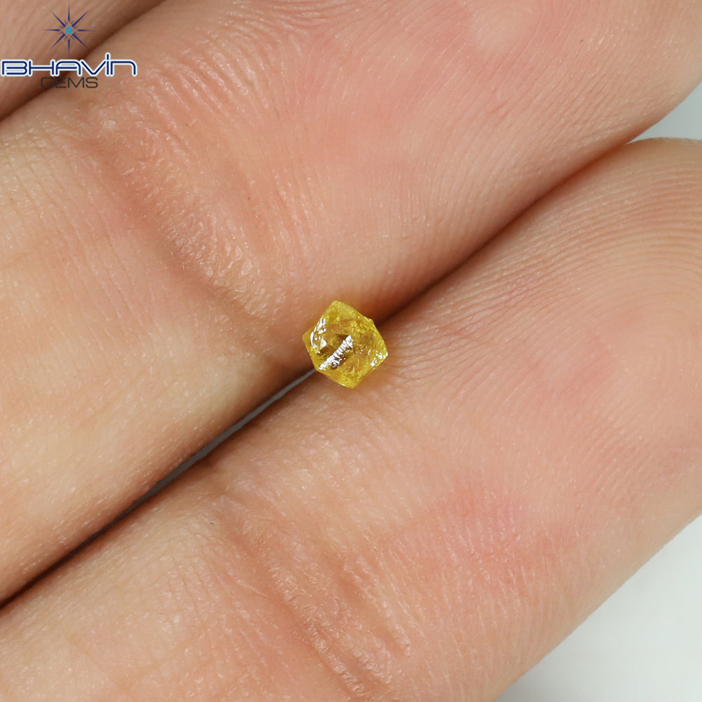 0.19 CT Rough Shape Natural Diamond Yellow Color VS1 Clarity (2.51 MM)