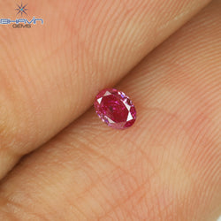0.08 CT Oval Shape Natural Diamond Pink Color VS1 Clarity (3.16 MM)