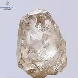2.32 CT Rough Shape Natural Diamond Brown Color VS2 Clarity (8.40 MM)