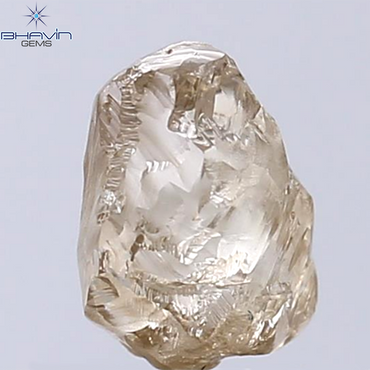 2.32 CT Rough Shape Natural Diamond Brown Color VS2 Clarity (8.40 MM)