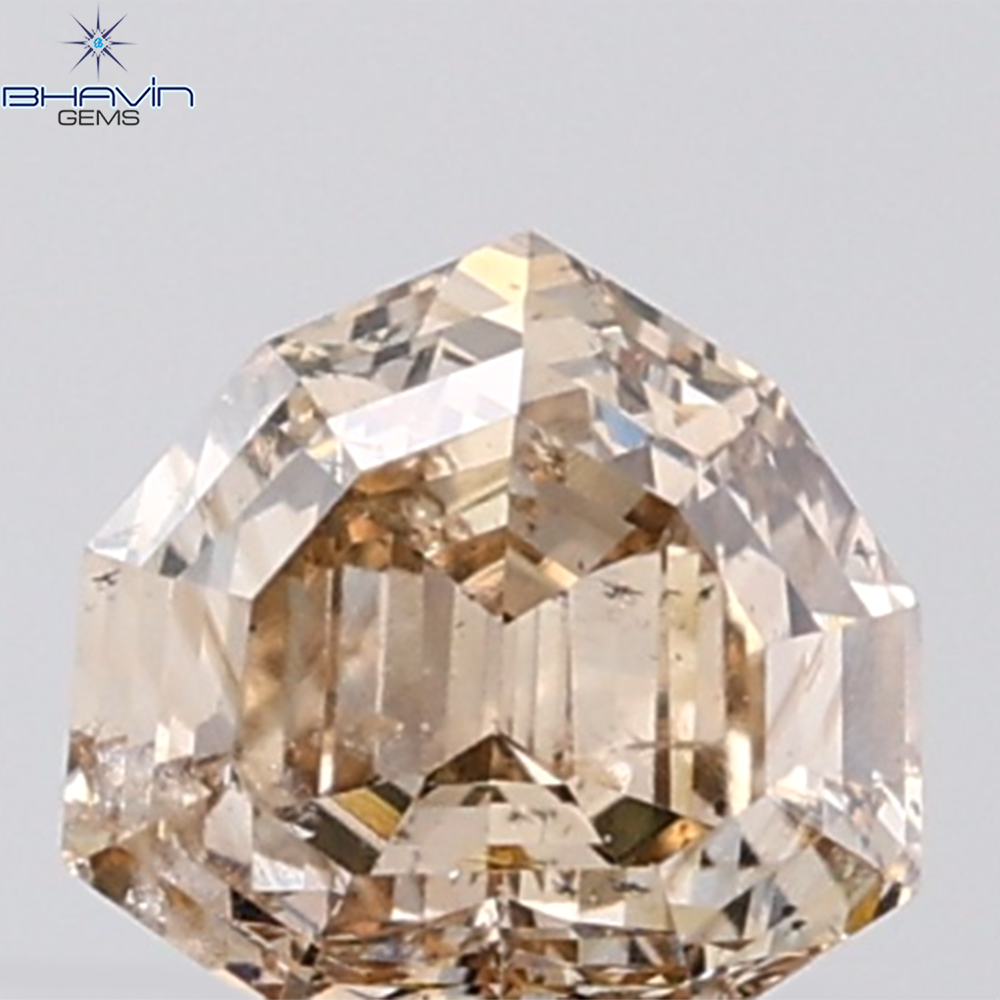 1.02 CT Shield Natural Brown Diamond SI1 Clarity (619 MM)