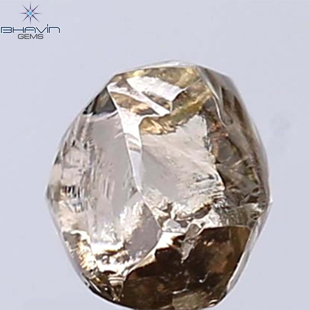 1.31 CT Rough Shape Natural Diamond Dark Brown Color VS2 Clarity (5.98 MM)