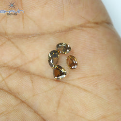 1.13 CT/4 Pcs Natural Mix Diamond Brown Color Clarity VS (5.44 MM)