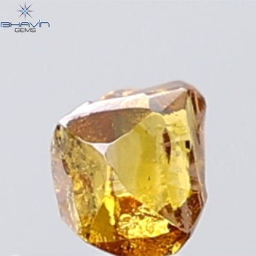 0.33 CT Rough Shape Natural Diamond Orange Color VS1 Clarity (3.96 MM)