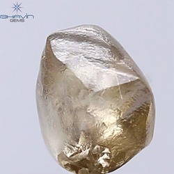 1.53 CT Rough Shape Natural Diamond Dark Brown Color SI2 Clarity (6.93 MM)