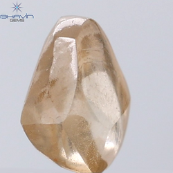 0.90 CT ラフ シェイプ ナチュラル ダイヤモンド ホワイト カラー VS1 クラリティ (5.95 MM)