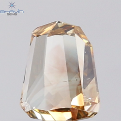 1.00 CT Shield Natural Champion Diamond SI1 Clarity (6.75 MM)