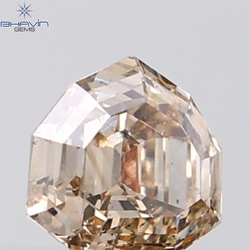 1.02 CT Shield Natural Brown Diamond SI1 Clarity (619 MM)