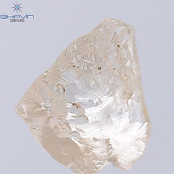 2.73 CT Rough Shape Natural Diamond Brown Color SI Clarity (10.23 MM)