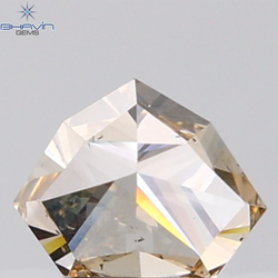 1.01 CT Shield Shape Natural Diamond Brown Color SI1 Clarity (5.44 MM)