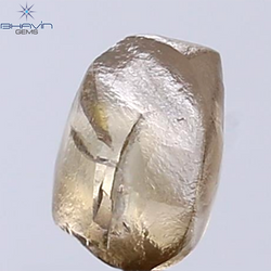 1.53 CT Rough Shape Natural Diamond Dark Brown Color SI2 Clarity (6.93 MM)