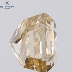 1.02 CT Radiant Natural Brown Diamond SI Clarity (5.42 MM)