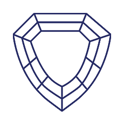 Shield