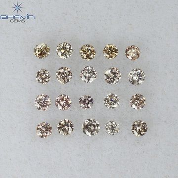 0.29 CT/20 Pcs Natural Round Diamond Brown Pink Argyle Color Clarity VS-SI (1.60 MM)
